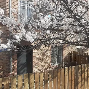 House , Тбилиси Грузия